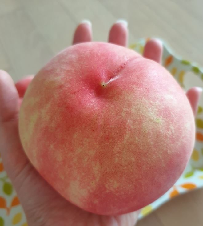 복숭아(천중도)